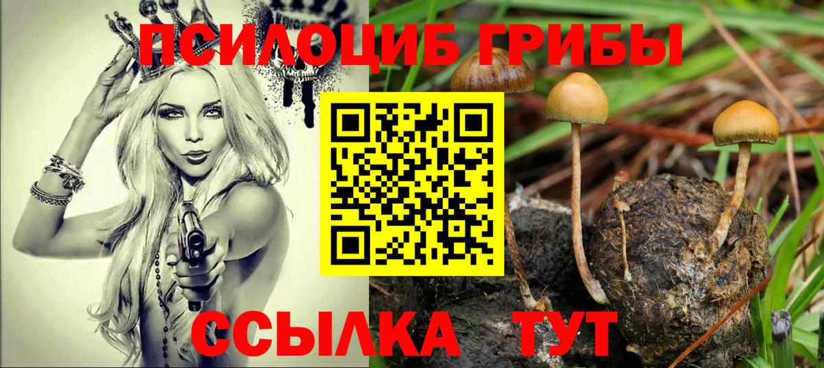 Людиново  Галлюциногенные грибы Psilocybine cubensis  дарнет шоп  Вход с VPN 