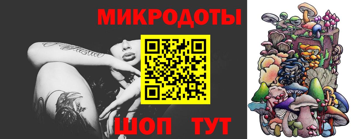 Галлюциногенные грибы Psilocybine cubensis Людиново